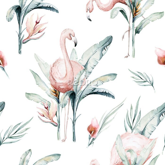Tableau  Flamants roses dans les hauts fourrés exotiques