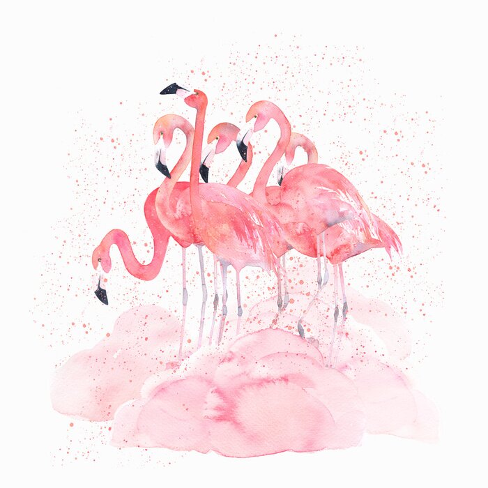 Tableau  Flamants roses peints à l'aquarelle