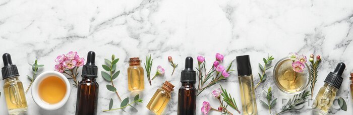 Tableau  Flat lay composition with bottles of natural tea tree oil and space for text on white marble background