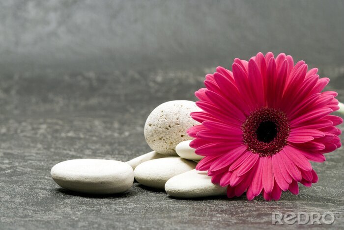 Tableau  fleur avec des pierres sur du béton