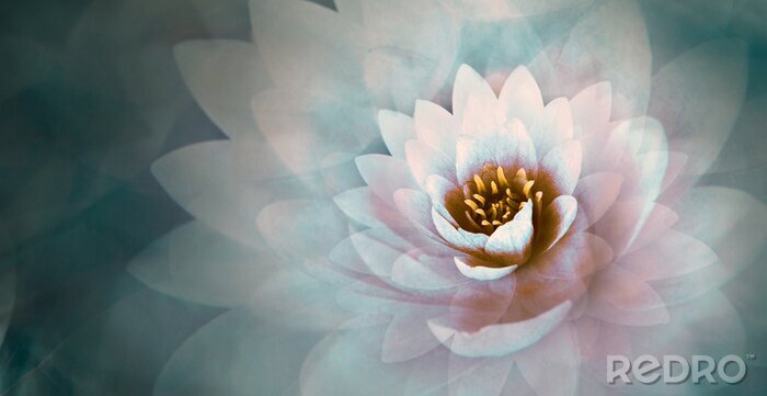 Tableau  Fleur de lotus rose