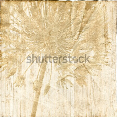 Tableau  Fleur de pissenlit en sépia