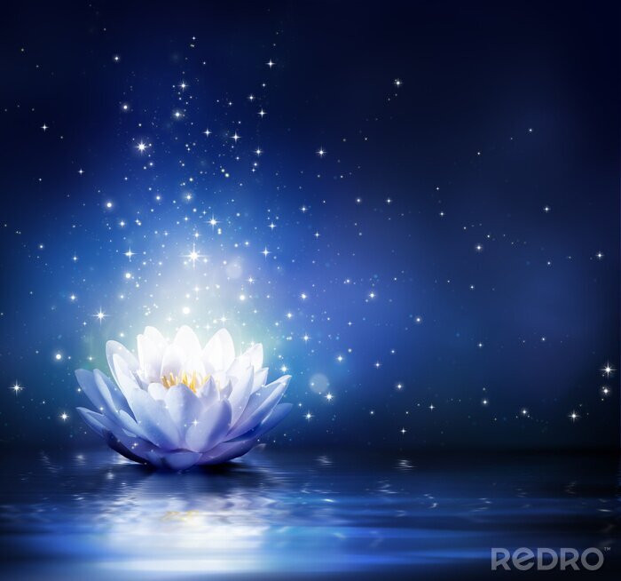 Tableau  fleur magique sur l'eau - bleu