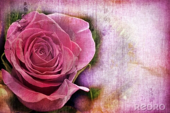 Tableau  Fleur rose rétro