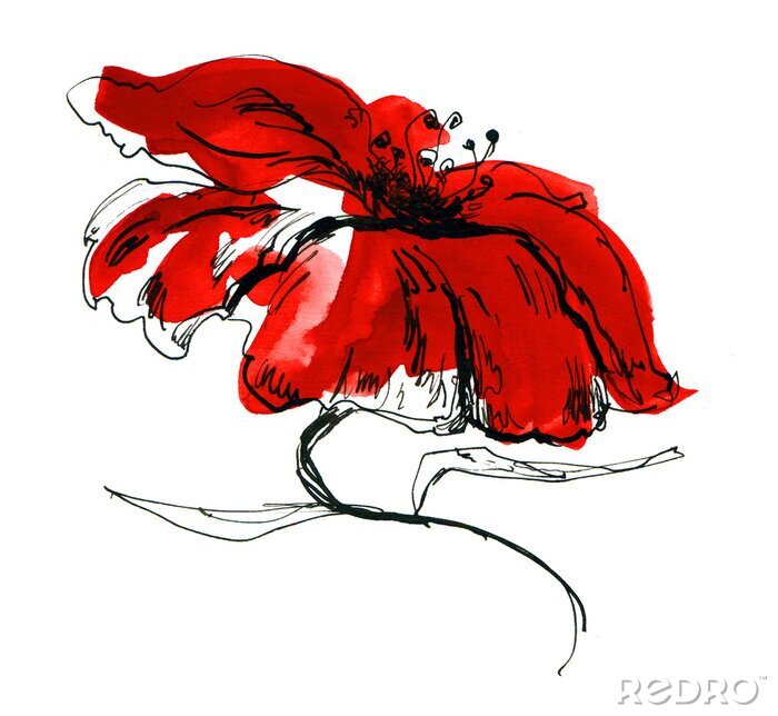 Tableau  Fleur sur un dessin en couleur