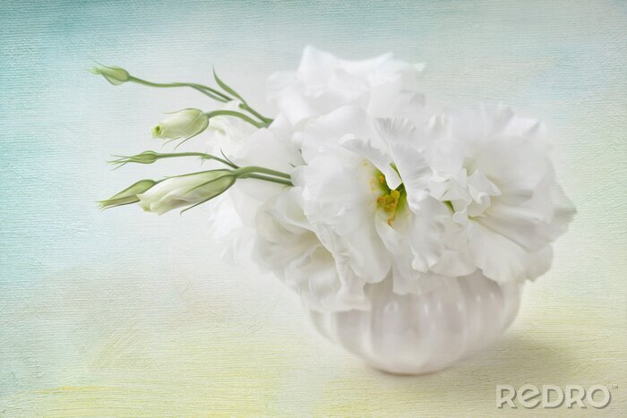 Tableau  Fleurs blanches