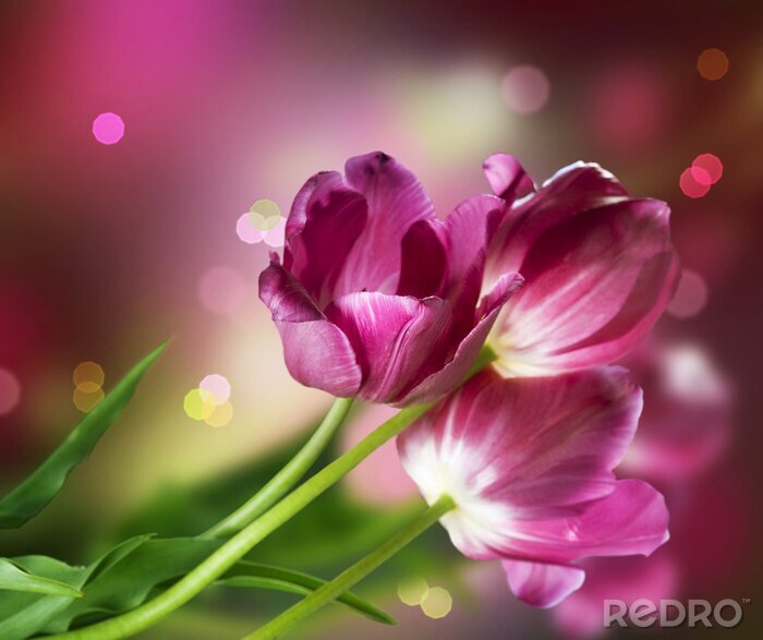 Tableau  Fleurs. Carte d'anniversaire Conception