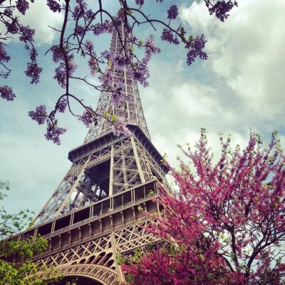 Tableau  Fleurs colorées autour de la Tour Eiffel au printemps