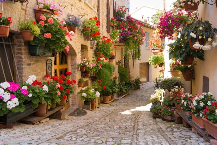 Tableau  Fleurs colorées dans une ruelle italienne à Spello