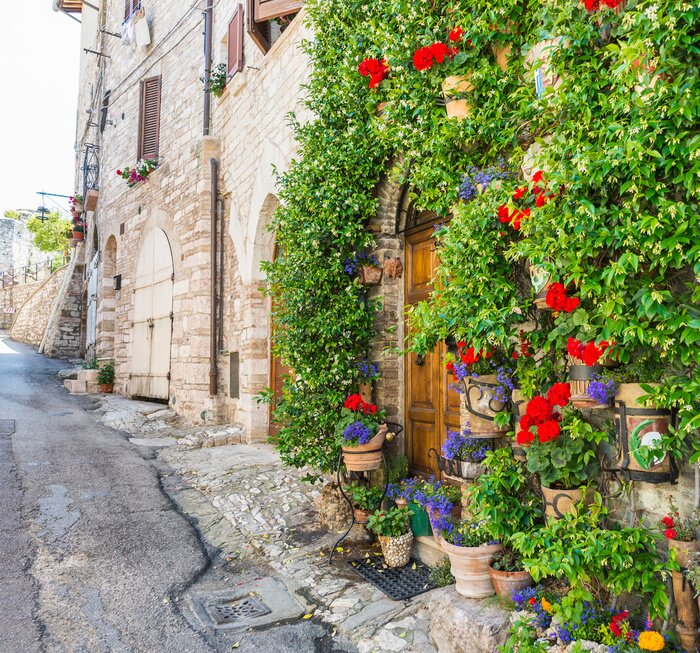 Tableau  Fleurs colorées quartier vieille ville