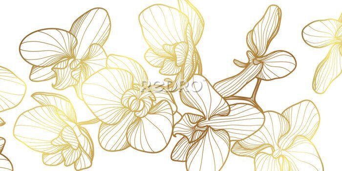 Tableau  Fleurs d&#39;orchidées abstraites dorées sur fond blanc