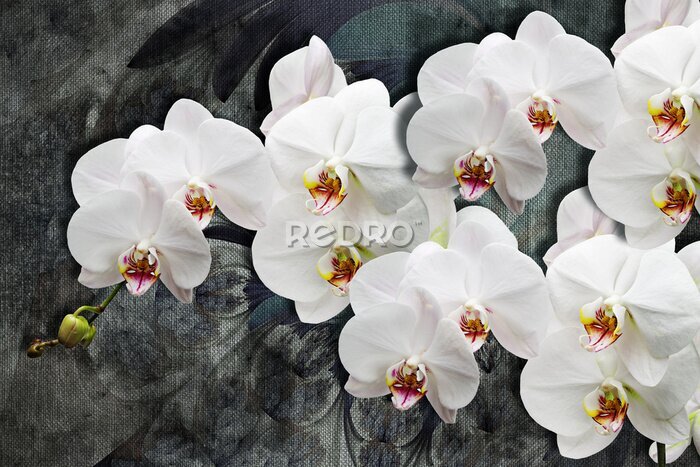 Tableau  Fleurs d&#39;orchidées blanches 3D sur fond sombre