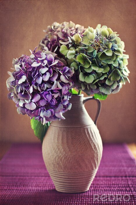 Tableau  fleurs d'hortensia pourpre dans un vieux pot d'argile.