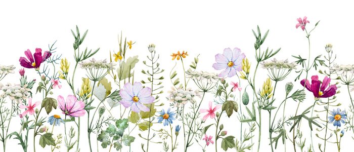 Tableau  Fleurs dans le pré