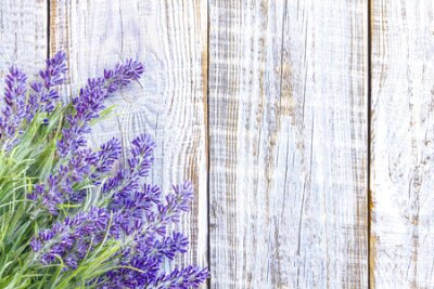 Tableau  Fleurs de lavande sur planches de bois