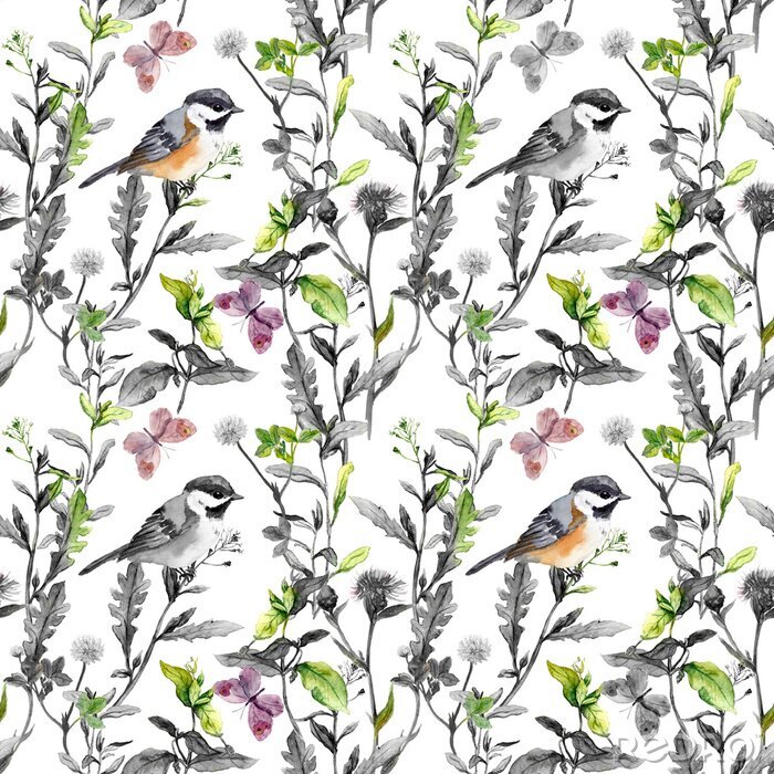 Tableau  Fleurs de prairie, oiseaux. Motif floral répétitif - couleurs monochromes. Aquarelle