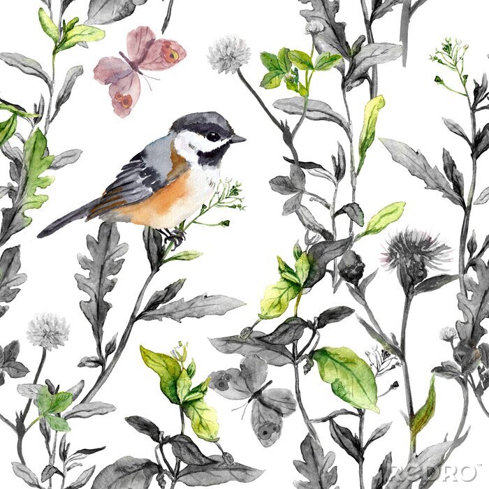 Tableau  Fleurs des prés, oiseaux, papillons. Motif floral sans couture, couleurs noir-blanc. Aquarelle