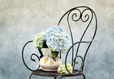 Fleurs hortensia et chaise