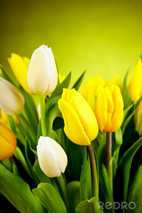 Tableau  Fleurs jaunes dans un bouquet