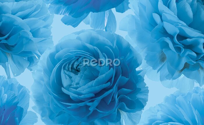 Tableau  Fleurs roses bleues