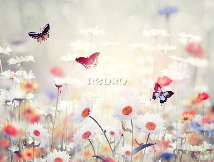 Tableau  Fleurs sauvages dans une prairie