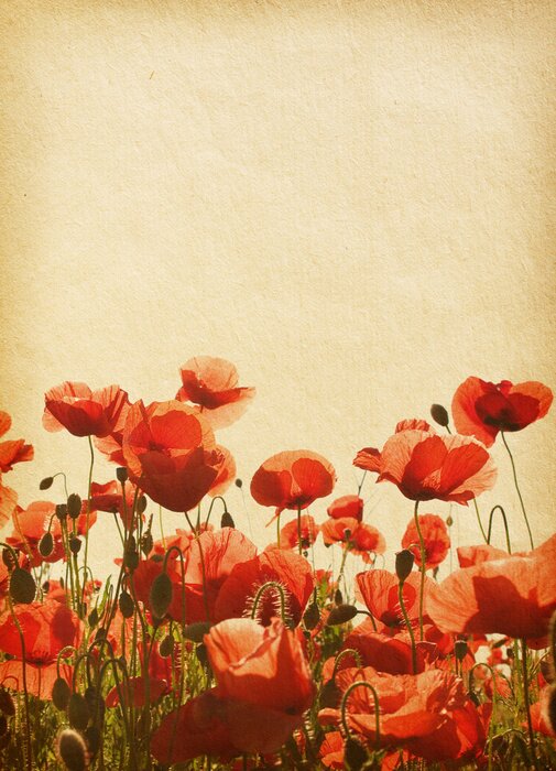 Tableau  Fleurs sépia