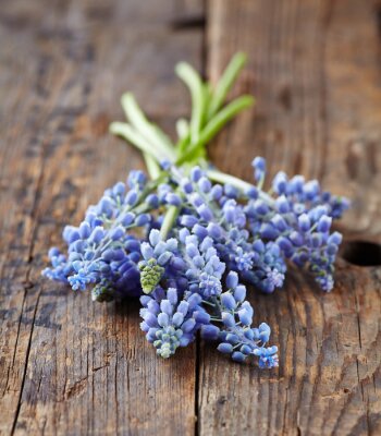 Fleurs violettes disposées sur des planches de bois