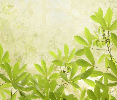 Fond avec nature verte