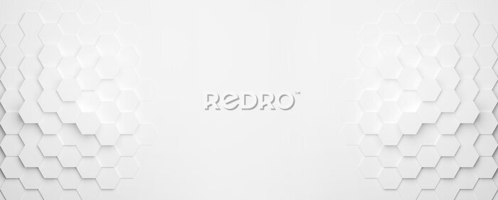 Tableau  Fond blanc avec nids d'abeilles