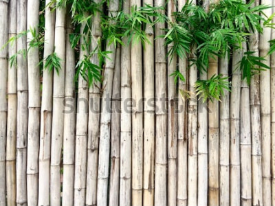Tableau  Fond de bambou naturel