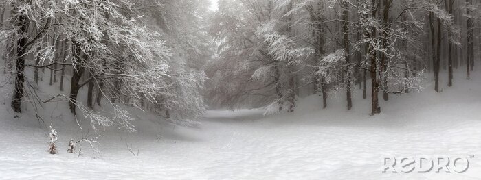 Tableau  Forêt d'hiver