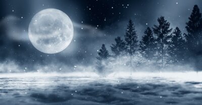 Forêt d'hiver la nuit au clair de lune