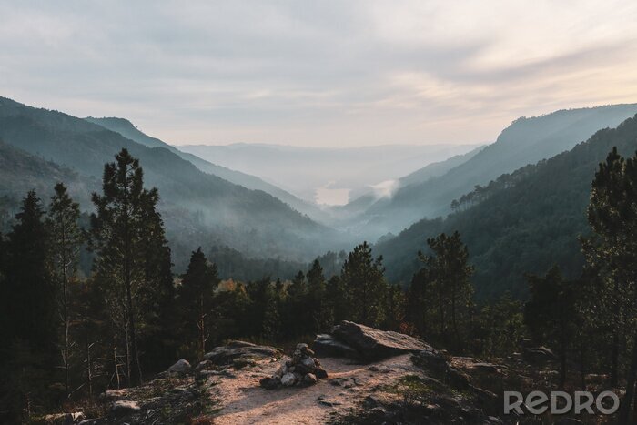 Tableau  Forêt dans le brouillard et collines