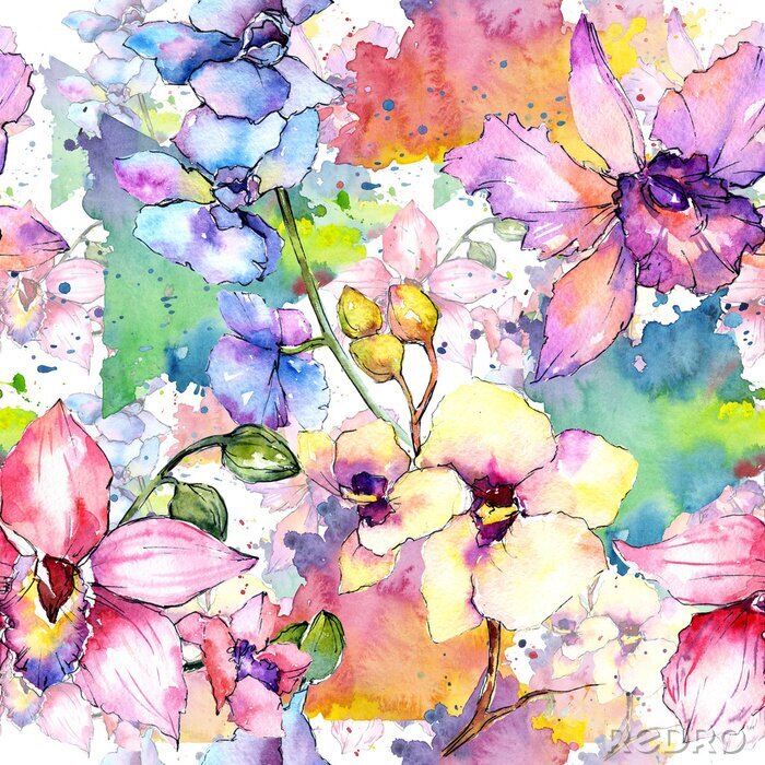 Tableau  Foret de fleurs d'orchidées aux fleurs sauvages dans un style aquarelle. Nom complet de la plante: orchidée colorée. Aquarelle fleur sauvage pour l'arrière-plan, la texture, le motif de l'enveloppe, l
