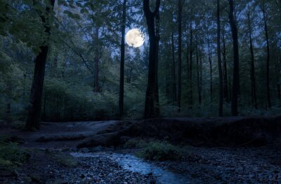 Tableau  Forêt de nuit et pleine lune
