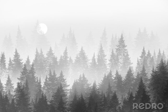 Tableau  Forêt minimaliste dans le brouillard. Peinture numérique.
