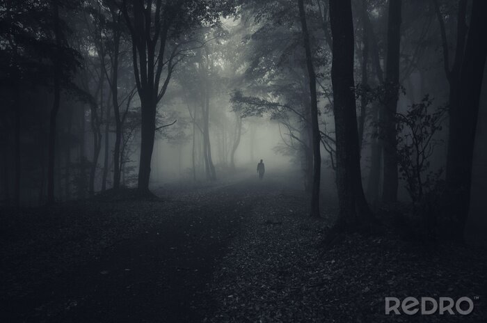 Tableau  Forêt sombre aux couleurs sombres