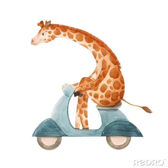 Tableau  Girafe aquarelle sur un scooter