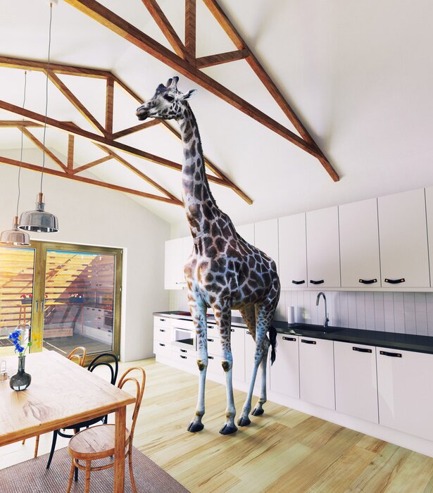 Tableau  Girafe dans la maison
