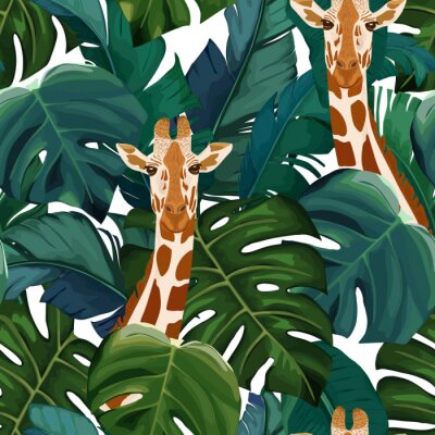 Girafe parmi les feuilles tropicales
