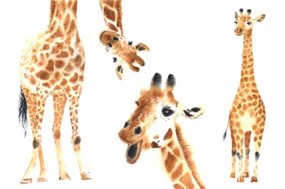 Tableau  Girafes drôles