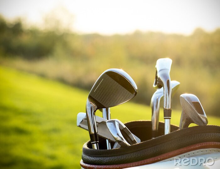 Tableau  Golf Clubs conducteurs de plus de champ vert fond