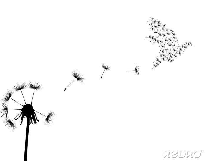 Tableau  Graines de pissenlit en forme d'oiseau