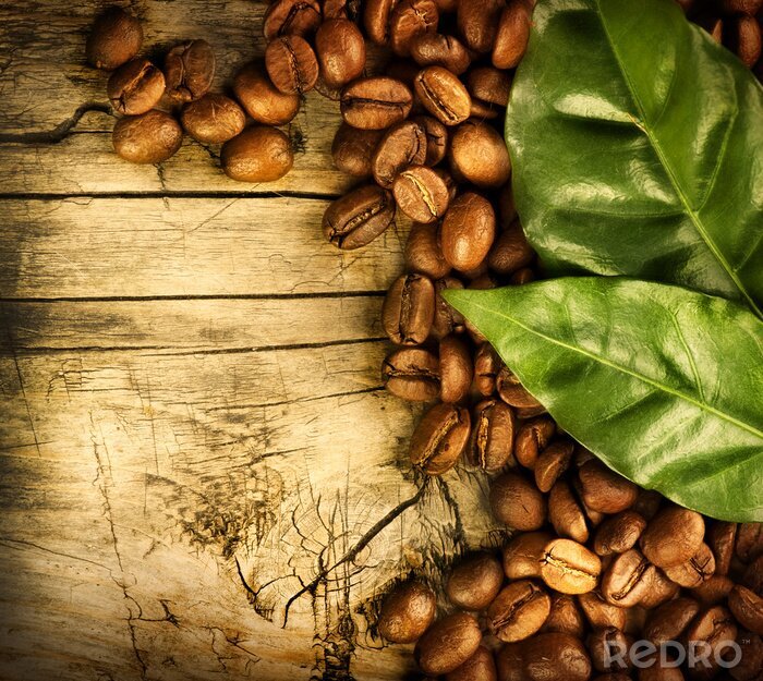Tableau  Grains de café et feuilles sur du bois