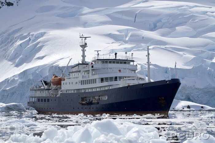 Tableau  grand bateau de tourisme bleu dans les eaux de l'Antarctique dans le contexte o
