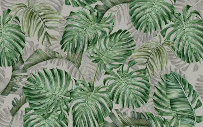 Grandes feuilles de monstera sur fond gris