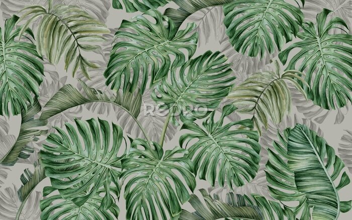 Tableau  Grandes feuilles de monstera sur fond gris