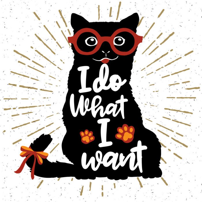 Tableau  Graphiques de chat avec lettrage