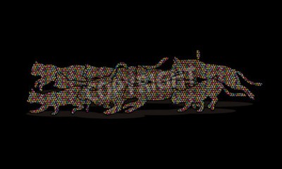 Tableau  Graphiques de chats sauvages