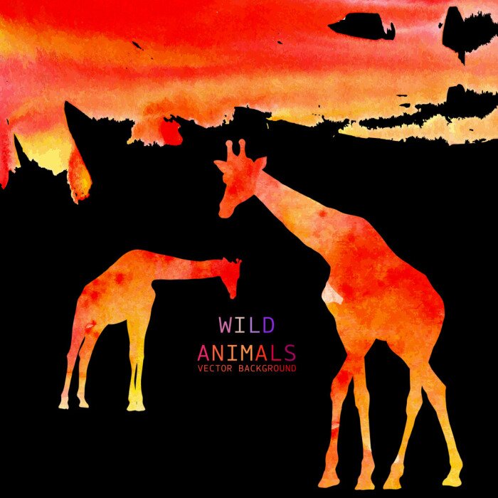 Tableau  Graphiques sombres avec des girafes